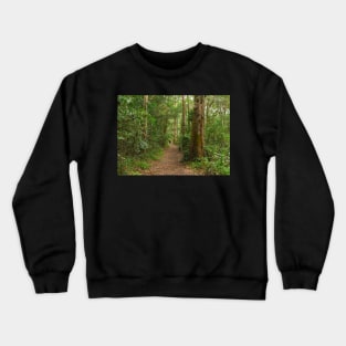 "Forest Walk" Crewneck Sweatshirt